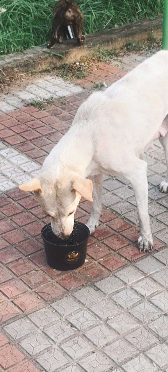 photo_2025-12-14_10-59-01